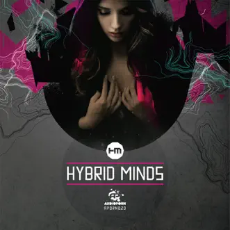 Tides by Hybrid Minds & Shimon song reviws