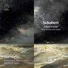 Duo Pleyel - Sonata in B-Flat Major, D. 617: I. Allegro moderato