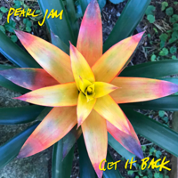 Pearl Jam - Get It Back artwork