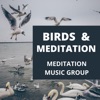 Meditation Music Group - Birds Under a Tin Roof