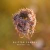 Glitter Cowboy Remixes, Vol. 1 - EP