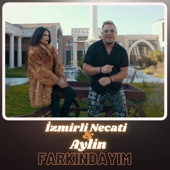 Farkındayım artwork