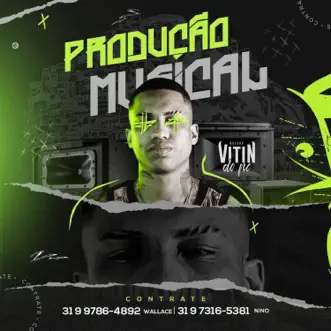 Chefe do Esquema (feat. Dj Ph da Serra, Mc Josh, Mc Kisk & Mc Paulin do G) by DJ Vitin do PC song reviws