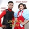 Luka Jadi Cerita (feat. Gerry Mahesa) - Jihan Audy lyrics