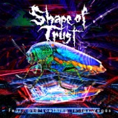 Shape of Trust artwork