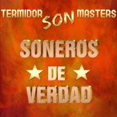 Termidor Son Masters - Soneros De Verdad