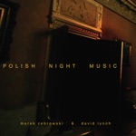 David Lynch & Marek Zebrowski - Night (City Back Street)