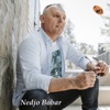 Nedjo Bobar - Single