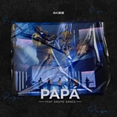 Papá (feat. Grupo Grace) artwork