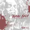 Bath Salt (feat. tek of smif-n- wessun) - Single album lyrics, reviews, download