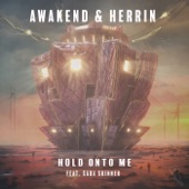 Hold Onto Me (feat. Sara Skinner) artwork