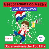 Top 30: Best Of Reynaldo Meza y Los Paraguayos - Südamerikanische Top Hits, Vol. 3 (Live) artwork