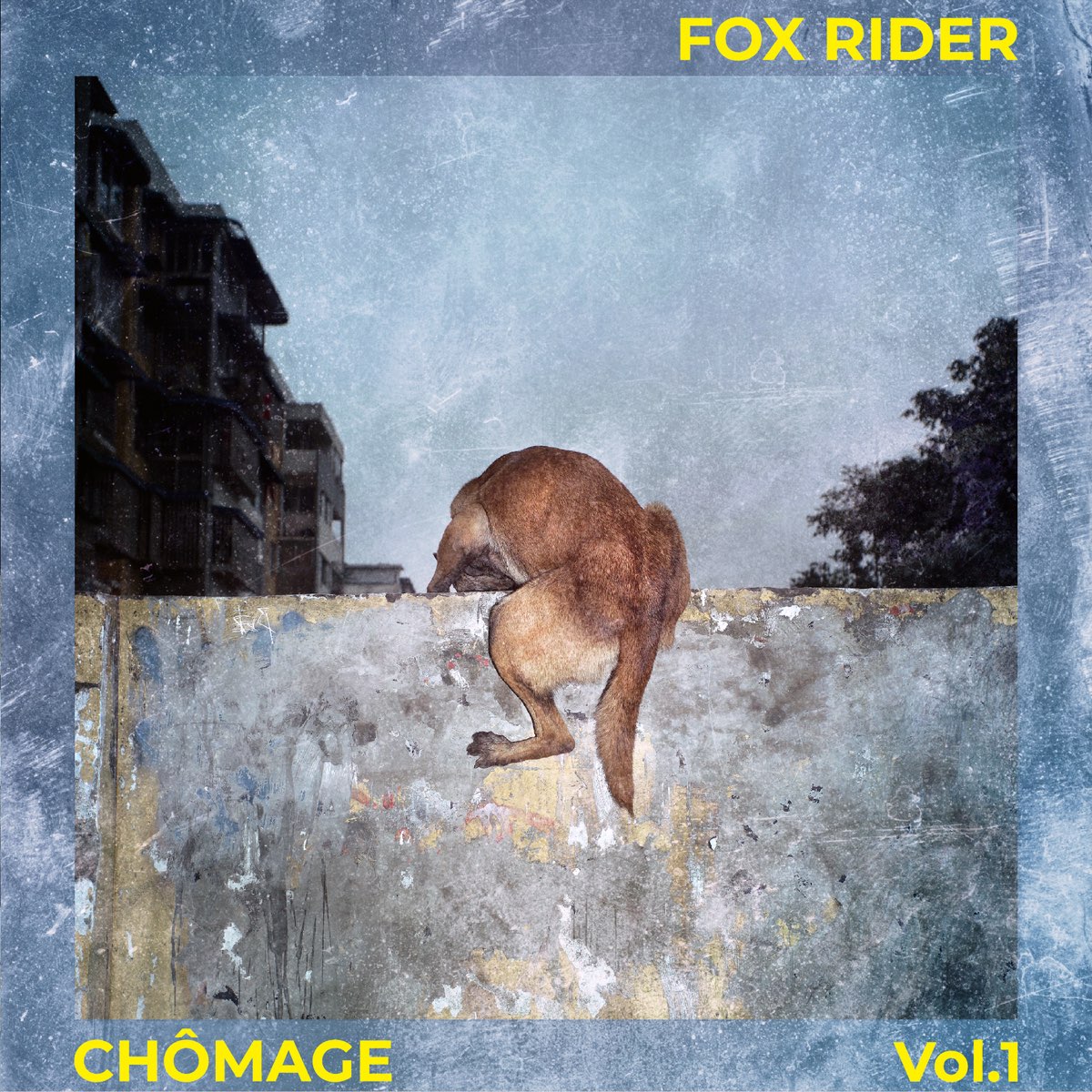 Fox rider. Fox Riders.