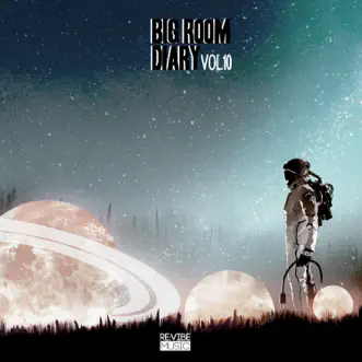 Big Room Diary, Vol. 10 by Various Artists album reviews, ratings, credits