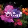 Sing In the Darkness - Single album lyrics, reviews, download