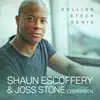 Evergreen (Rolling Stock Remix) [feat. Joss Stone] - Single album lyrics, reviews, download