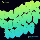 Punk Right Now (Raiden Remix) artwork