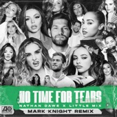 No Time for Tears (Mark Knight Remix) artwork