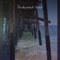 Andromedas' Tears - Nora Berg lyrics