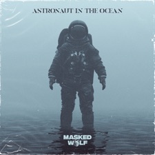 Astronaut In The Ocean by 