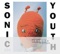 100% - Sonic Youth lyrics