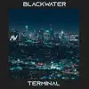 Terminal - Single album lyrics, reviews, download