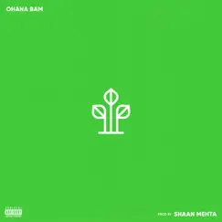 What Made U - Single by Ohana Bam album reviews, ratings, credits