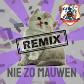 Nie Zo Mauwen (feat. Scabtik) [Beuken Remix] artwork