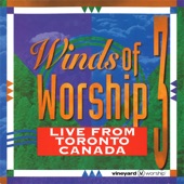 Will You Worship (Live) artwork