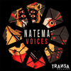 Natema - Voices artwork