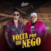 Volta pro Seu Nego artwork