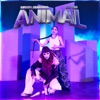 Animal - Single