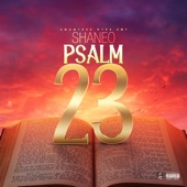 Psalms 23 artwork