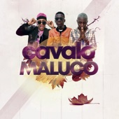 Cavalo Maluco artwork