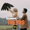 Kesandung Tresno - Single