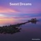 The Spectre - MusicoterapiaTeam lyrics