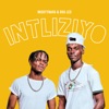 Intliziyo (And MightyNara) - Single, 2020