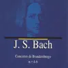 J.S. Bach Concertos de Brandemburgo No. 4 - 6 album lyrics, reviews, download