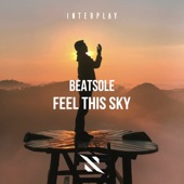 Feel This Sky (Extended Mix) artwork