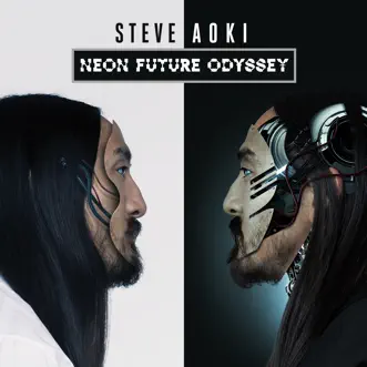 Youth Dem (Turn Up) [feat. Snoop Lion] by Steve Aoki song reviws