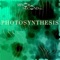 Photosynthesis - Minor Second Inc. lyrics