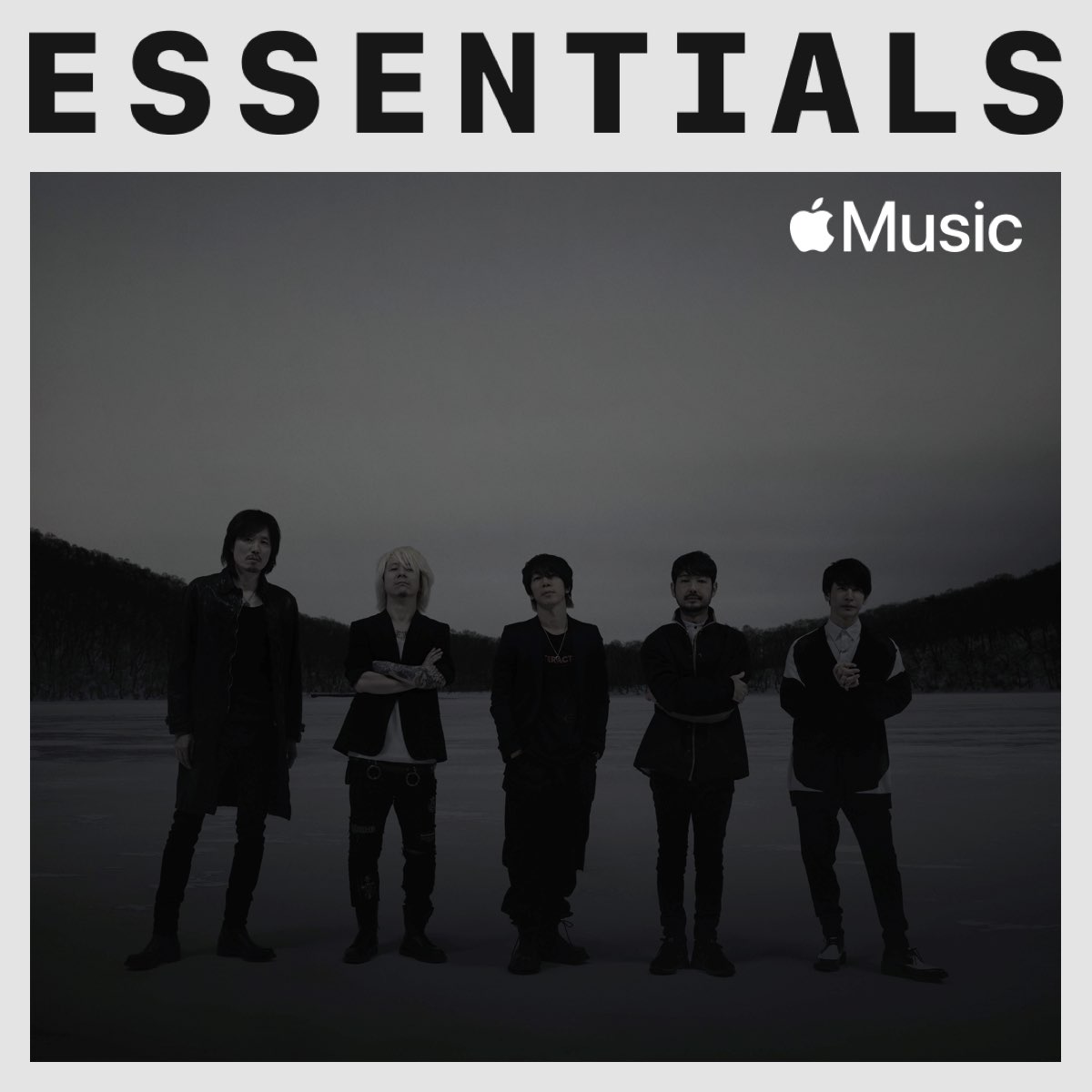 The Hiatus Essentials On Apple Music