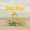 Sad Boy
