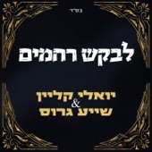 לבקש רחמים artwork