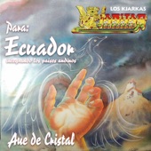 Ave de Cristal (1993 Remastered) artwork