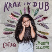 Catleya (Bogotá Sessions) artwork