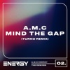 Mind the Gap (Turno Remix) - Single