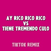 Ay Rico Rico Rico Vs. Tiene Tremendo Culo (TikTok Remix) artwork
