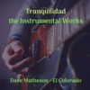 Tranquilidad the Instrumental Works - EP
