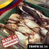 Made In Colombia: Tropical, Vol. 54
